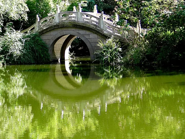 Brücke im Duisburger Zoo