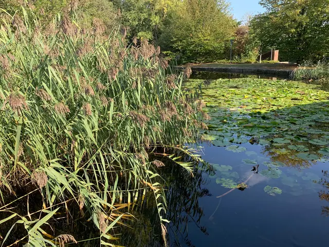 Gleich  an meinem Eingang der Teich