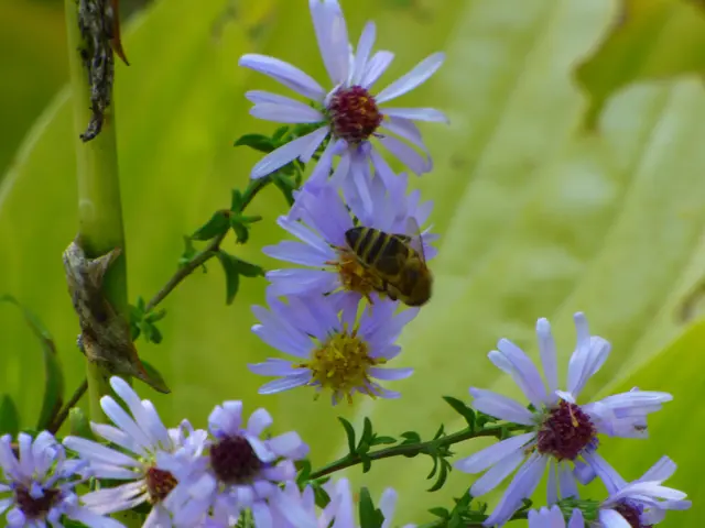 Auch hier ein Besucher