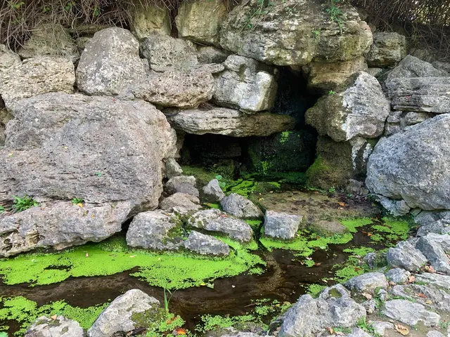 Da sprudelt das Wasser