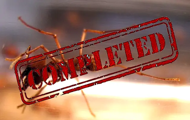 Nicole - 1 Punkt -  Myrmecophobie