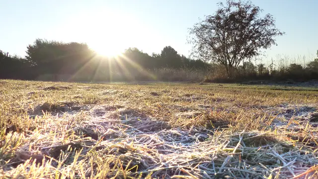 Raureif auf der Wiese am Stadtrand. Foto: Helmut Kuzina