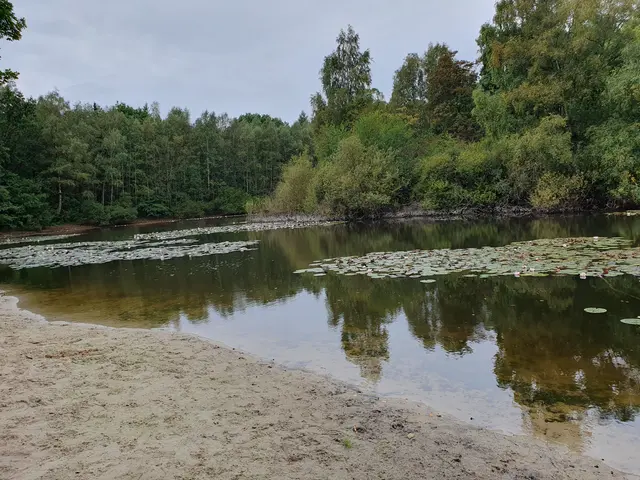 Seerosenteich 