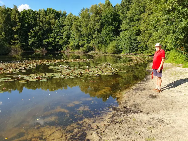 Blauer Himmel und Sonnenschein am Seerosenteich