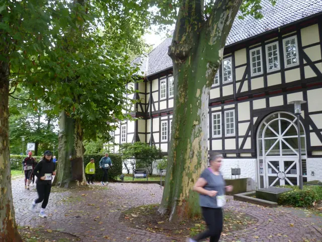 Eine imposante Kulisse für den Spargel-Lauf: Das Burgdorfer Schloss.
