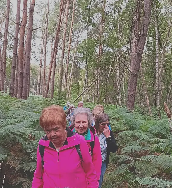 Schöne Natur soweit das Auge reicht.  Farnbüsche am Wegesrand begleiden die Wanderer. 