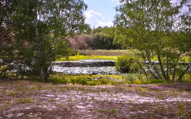Es ist einfach schön hier. | Foto: Shima Mahi