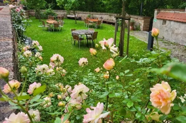 Senkgarten | Foto: Gruppe „L(i)ebenswertes Friedberg"