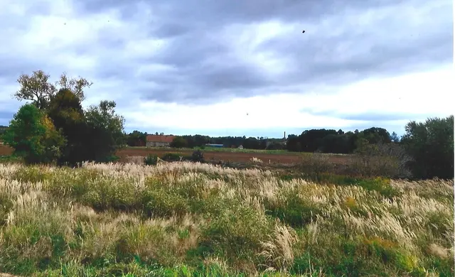 Unberührte Natur hinter der Unterkunft.