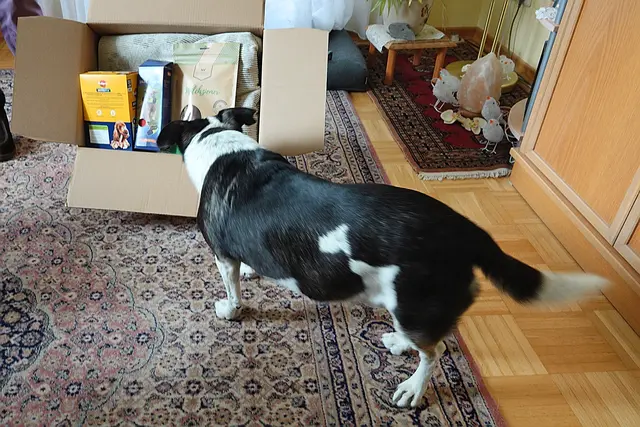 So ein tolles Paket ...