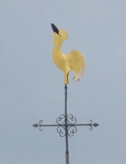 Ausschnitt aus dem Original-Foto. | Foto: M. A.