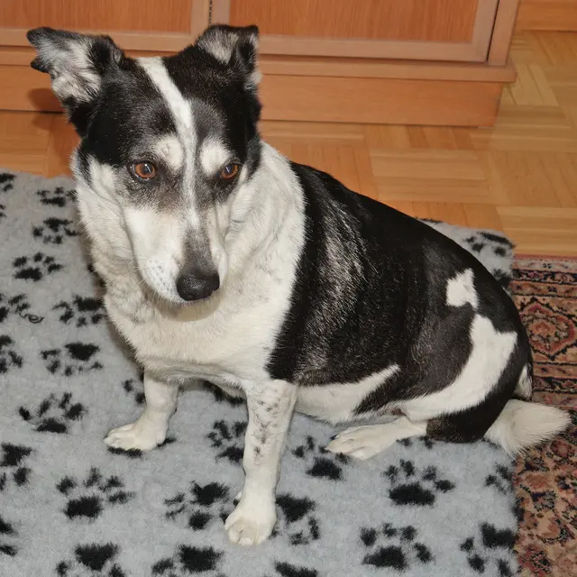 Meine neue Decke ist superweich ...