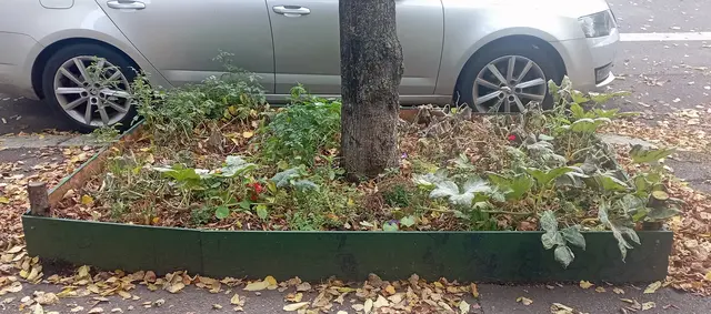 Beet am Straßenrand
