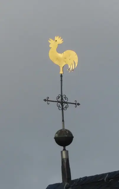 Aussschnitt aus dem Original-Foto. | Foto: M. A.