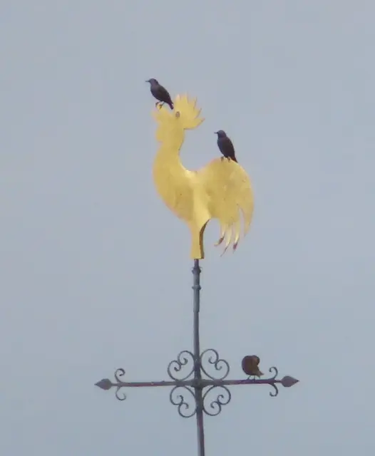 Ausschnitt aus dem Original-Foto. | Foto: M. A.