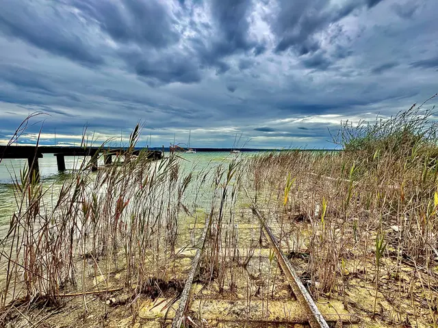 Foto: Claudia Specht