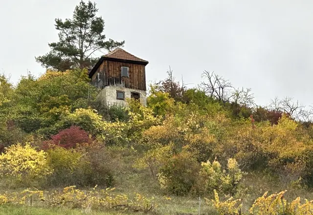 Altes Weinberghaus