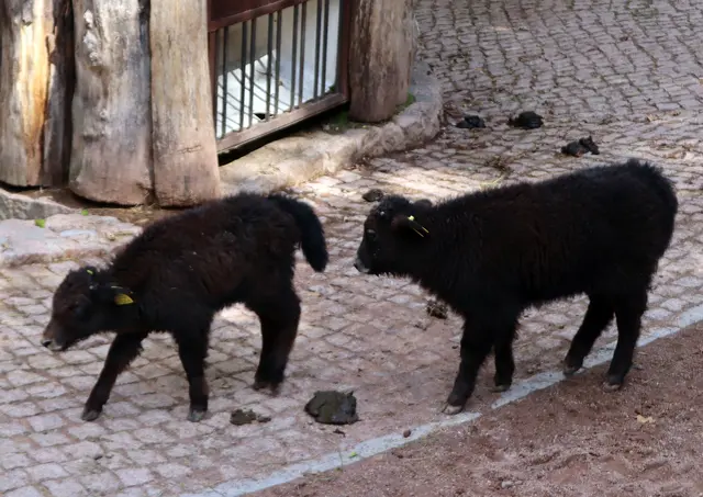 Joshi und Mathilda
