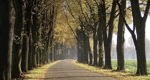 Straße bei Recklinghausen