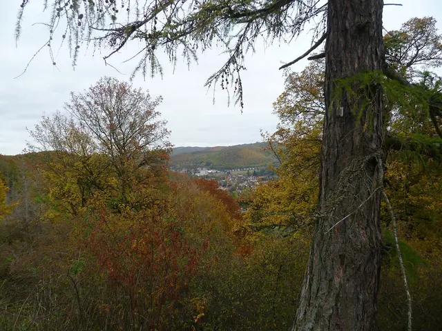 11km: Zirka 2 Kilometer vor dem Ziel erscheinen auf der rechten Seite des Parcours die ersten Häuser von Wernigerode-Hasserode.
