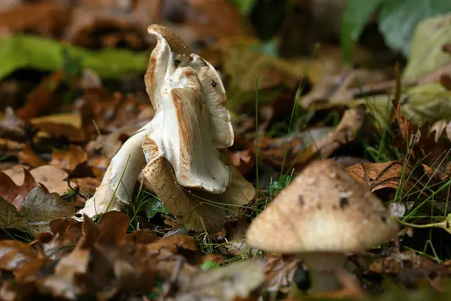 Foto: Copyright Andreas Schäfer