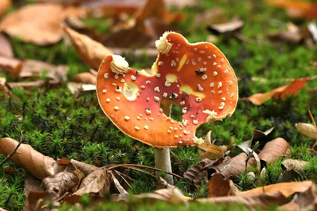 Foto: Copyright Andreas Schäfer