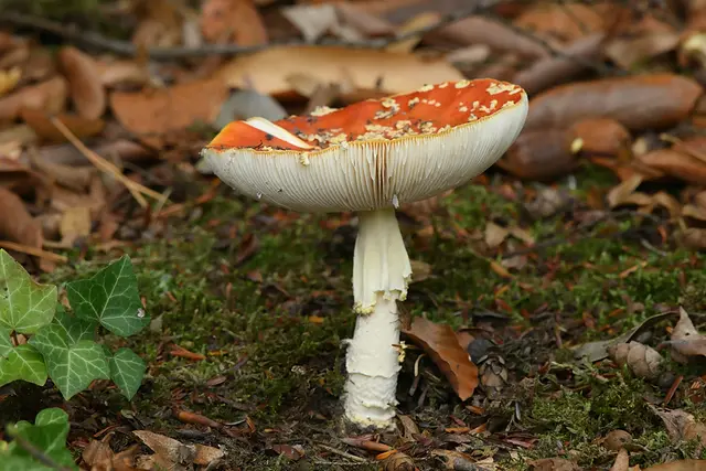 Foto: Copyright Andreas Schäfer