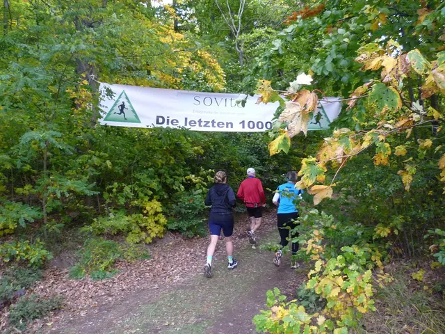 11 km: Eine nette Idee „Die letzten 1.000 Meter“.
