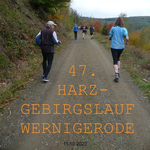 Aufmacherfoto: Der Hänigser Spargel-Sprinter auf der 11-Kilometer-Strecke beim 47. Harz-Gebirgslauf.
