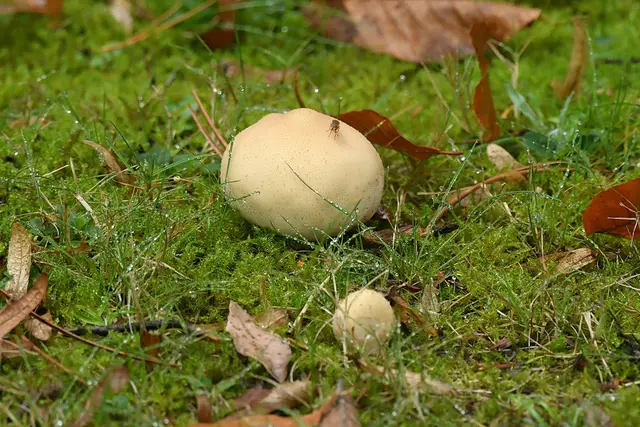 Foto: Copyright Andreas Schäfer