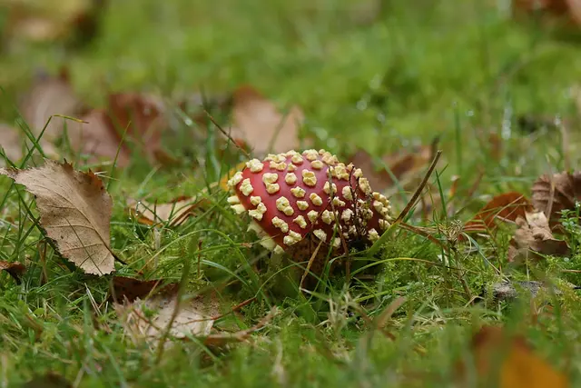 Foto: Copyright Andreas Schäfer