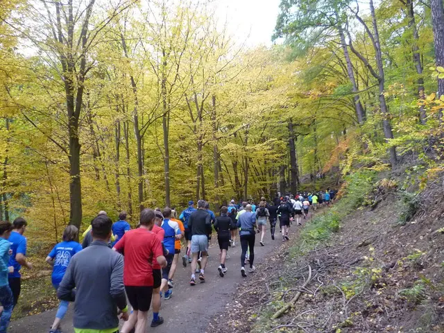 11 km: Der Herbstwald zeigt sich von seiner schönsten Seite.
