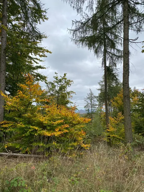 Blick auf die Abraumhalde bei Sangerhausen | Foto: Ch. Apel