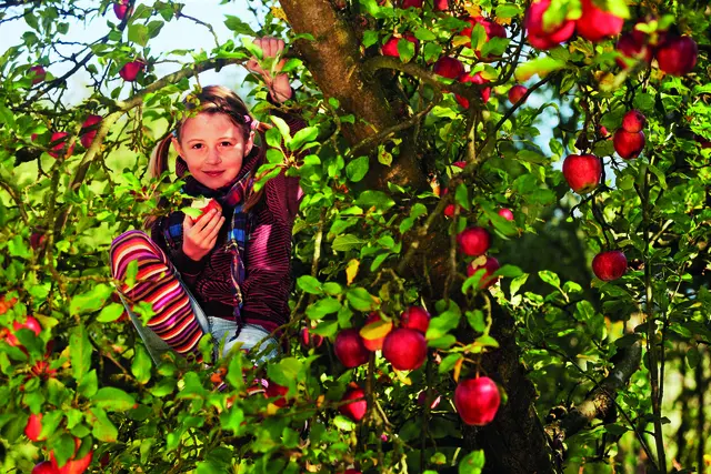 Ein Garten bietet Abenteuer und Geborgenheit zugleich.  | Foto: Ingo Bartussek/stock.adobe.com/akz-o