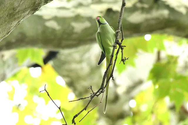 Foto: Copyright Andreas Schäfer