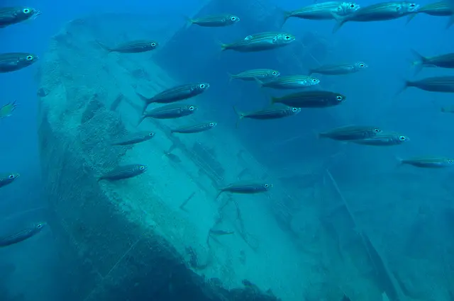 Auf Tauchfahrt im Meer vor Puerto de Mogan - alte Wracks inclusive

