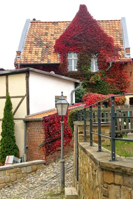 Partie auf dem Münzenberg