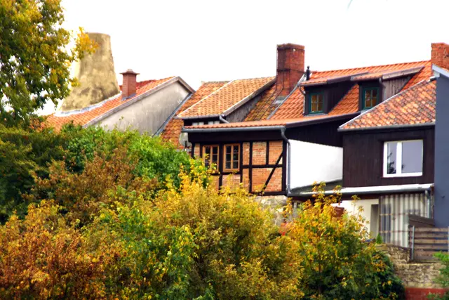 Blick auf den herbstlichen Münzenberg