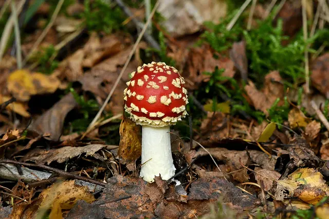 Foto: Copyright Andreas Schäfer