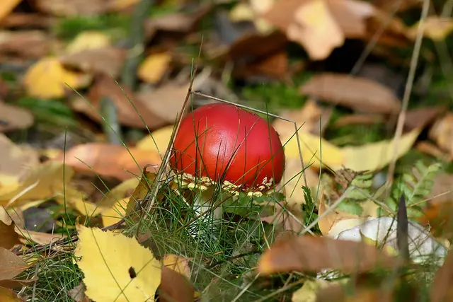 Foto: Copyright Andreas Schäfer