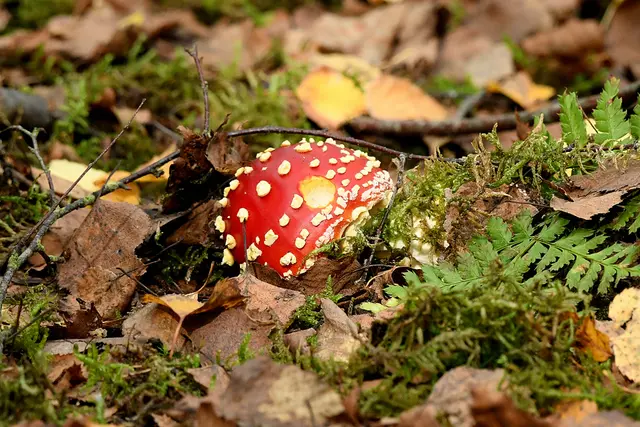 Foto: Copyright Andreas Schäfer
