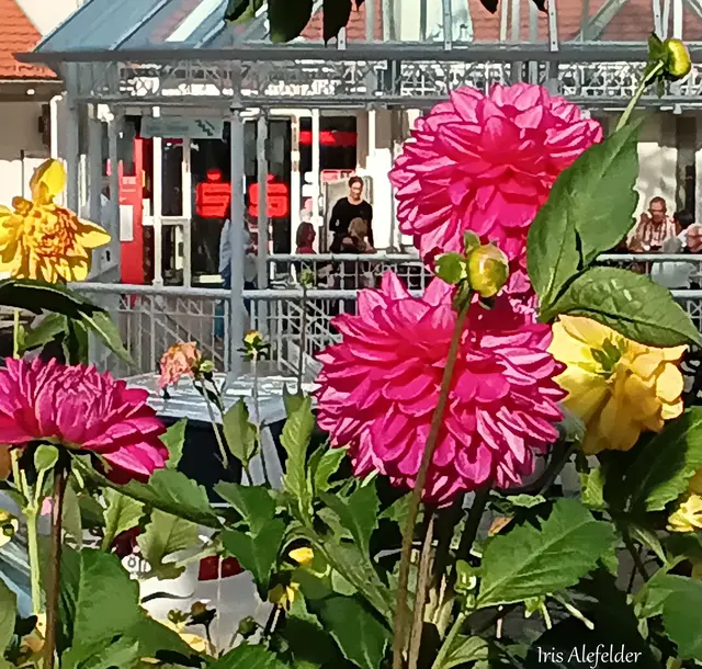 Im Hintergrund Cafe Pinocchio | Foto: Iris Alefelder