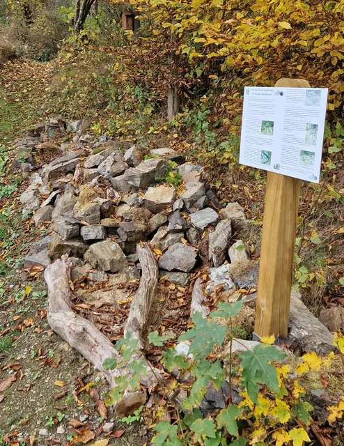 Reptilienburg auf dem Barfußpfad in Hatzfeld | Foto: Wandern