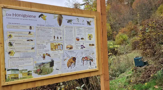 Infotafel zu den Bienen auf dem Barfußpfad in Hatzfeld | Foto: Wandern
