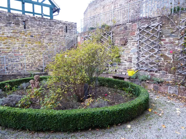 Rosengarten 2025-42, 19.10.2025.