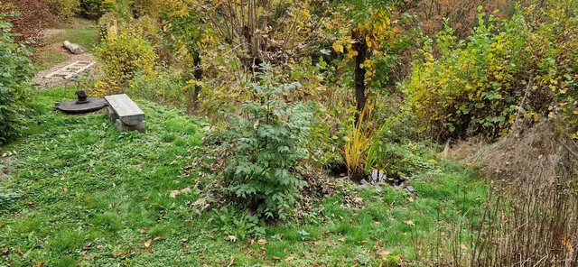 Ruhebank an einem kleinen Tümpel auf dem Barfußpfad in Hatzfeld | Foto: Wandern