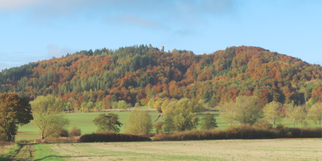 Ausschnitt aus dem Original-Foto. | Foto: M. A: