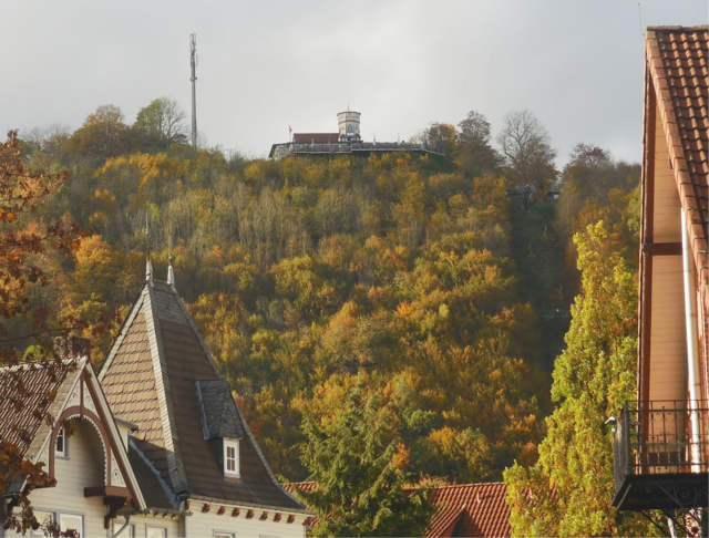 Der Bad Lauterberger "Hausberg" am 29.10.2016 aus Richtung des Kurparks fotografiert. | Foto: M. A.