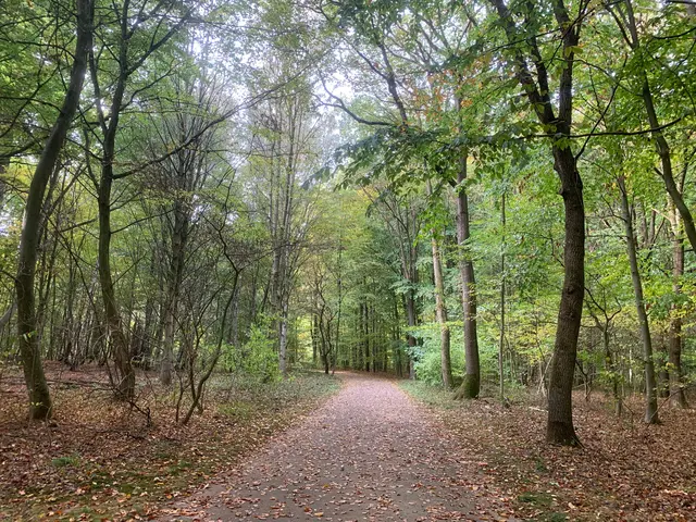 Jetzt geht es durch den Wald