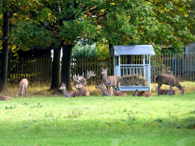 Von der Aussichtsplattform hat man ein guten Blick 